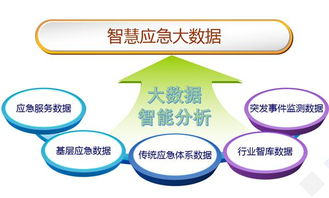 大數(shù)據(jù)服務 政府應急事件預警研究與實踐新范式
