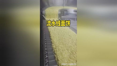 從面粉到面餅 方便面食品廠面餅制作全流程解析